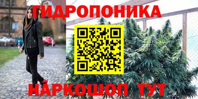 mdpv Усть-Джегута