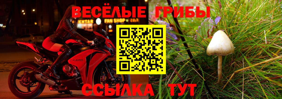 Псилоцибиновые грибы Cubensis Медногорск